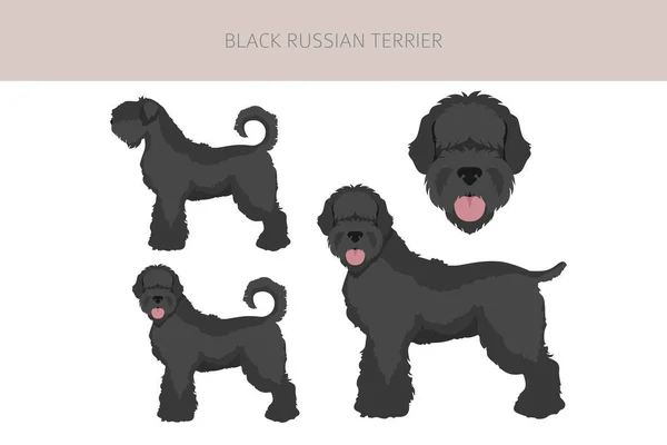 Black Russian Terrier Clipart Diversi Colori Cappotto Pose Set Illustrazione — Vettoriale Stock