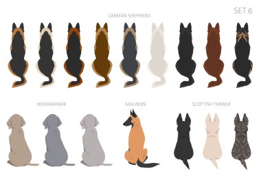 Sitting dogs backside clipart, rear view. Diifferent coat colors variety. Pet graphic design for dog lovers. Vector illustration
