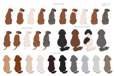 Sitting dogs backside clipart, rear view. Diifferent coat colors variety. Pet graphic design for dog lovers. Vector illustration