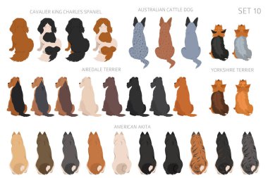 Sitting dogs backside clipart, rear view. Diifferent coat colors variety. Pet graphic design for dog lovers. Vector illustration