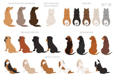 Sitting dogs backside clipart, rear view. Diifferent coat colors variety. Pet graphic design for dog lovers. Vector illustration