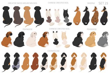 Sitting dogs backside clipart, rear view. Diifferent coat colors variety. Pet graphic design for dog lovers. Vector illustration