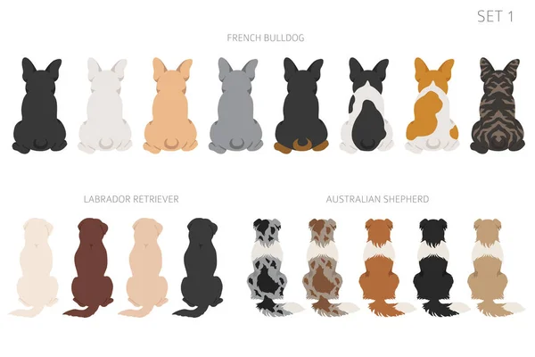 Sitting Dogs Backside Clipart Rear View Diifferent Coat Colors Variety — Vector de stock