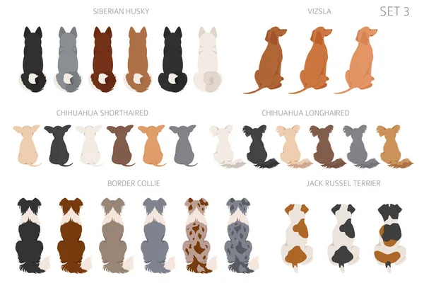 Sitzende Hunde Hinterteil Cliparts Rückansicht Unterschiedliche Fellfarben Vielfalt Grafikdesign Für — Stockvektor