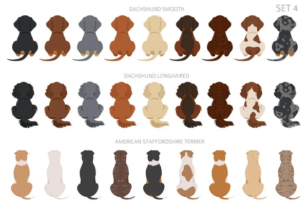 Sitting Dogs Backside Clipart Rear View Diifferent Coat Colors Variety — Image vectorielle