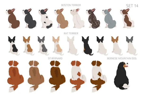 Sitting Dogs Backside Clipart Rear View Diifferent Coat Colors Variety — Stok Vektör