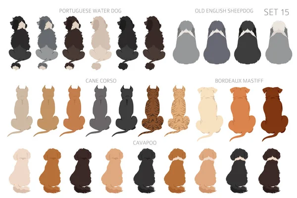 Sitting Dogs Backside Clipart Rear View Diifferent Coat Colors Variety — Vettoriale Stock