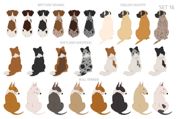Sitting Dogs Backside Clipart Rear View Diifferent Coat Colors Variety — Stockový vektor