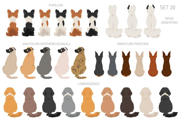 Sitting Dogs Backside Clipart Rear View Diifferent Coat Colors Variety — Stok Vektör