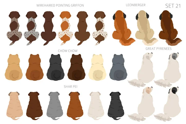 Sitting Dogs Backside Clipart Rear View Diifferent Coat Colors Variety — Διανυσματικό Αρχείο