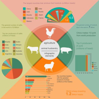 Tarım, Hayvancılık infographics, vektör çizimler