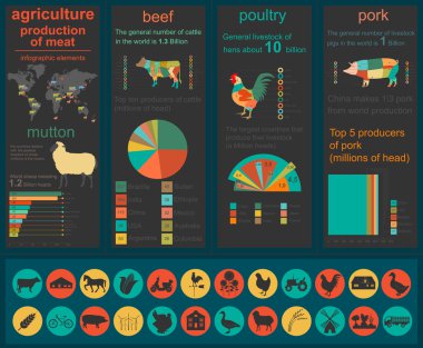 Tarım, Hayvancılık infographics, vektör çizimler