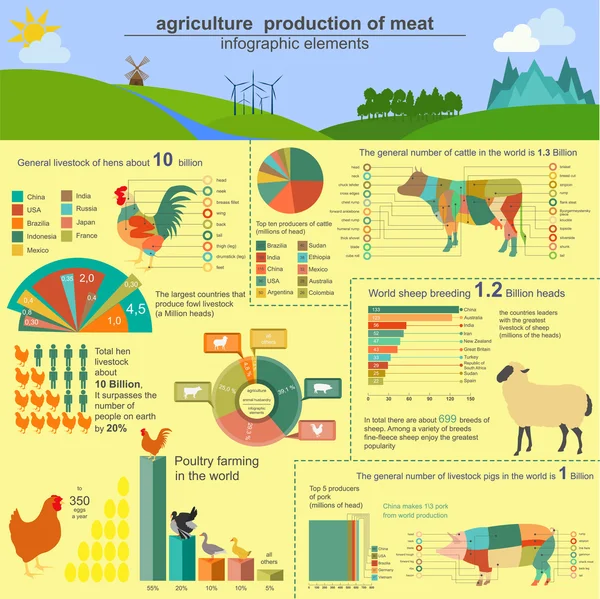 Agricultura, infografías ganaderas, ilustraciones vectoriales — Archivo Imágenes Vectoriales