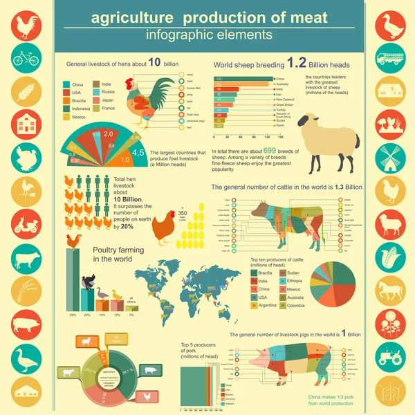 Rolnictwo, hodowla zwierząt Infografika — Wektor stockowy