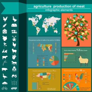 Tarım, Hayvancılık infographics, vektör çizimler