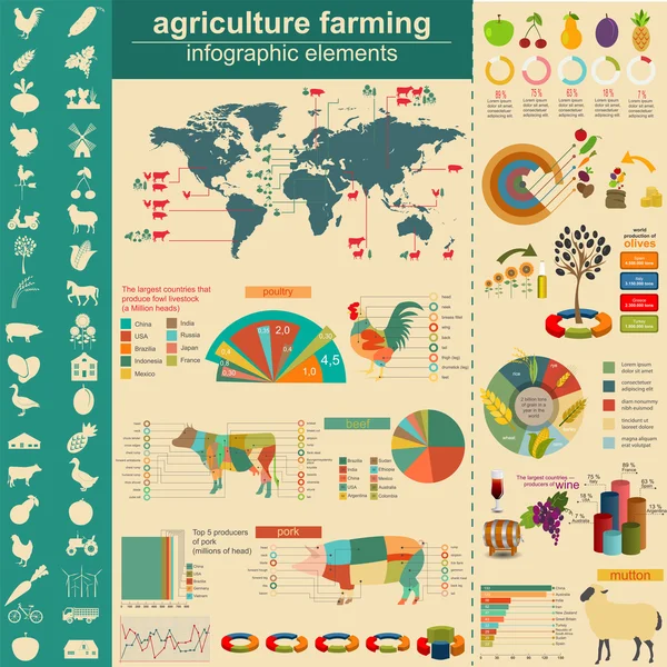 Infográficos da agricultura —  Vetores de Stock