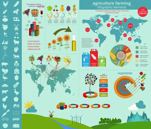 Zemědělství, chov infografika — Stockový vektor