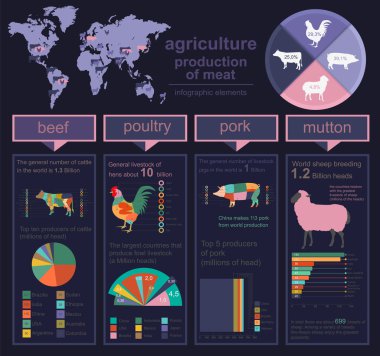 Tarım, Hayvancılık infographics, vektör çizimler