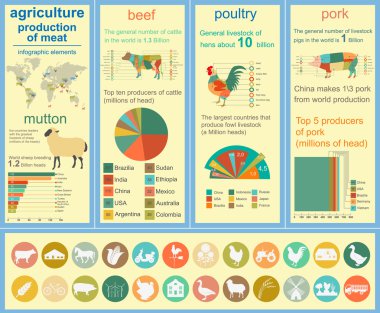 Tarım, Hayvancılık infographics, vektör çizimler