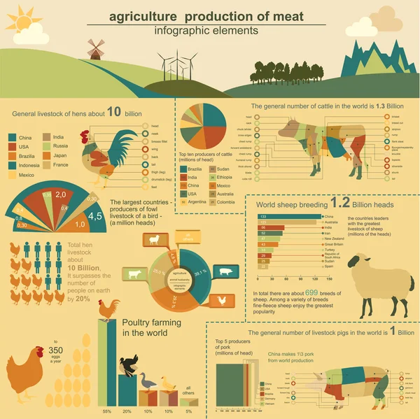 Rolnictwo, hodowla zwierząt infografiki, ilustracje wektorowe — Wektor stockowy