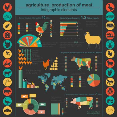 Tarım, Hayvancılık infographics, vektör çizimler