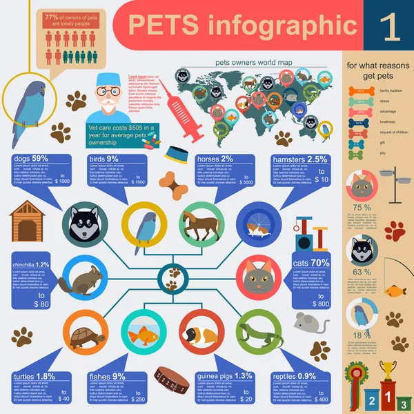 Animale de companie domestice elemente infografice, helthcare, veterinar — Vector de stoc