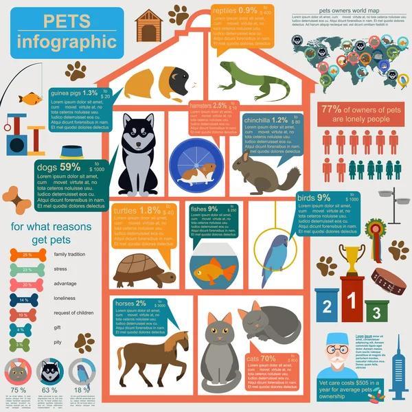 สัตว์เลี้ยงในบ้าน องค์ประกอบของ infographic, การดูแลสุขภาพ, สัตวแพทย์ — ภาพเวกเตอร์สต็อก
