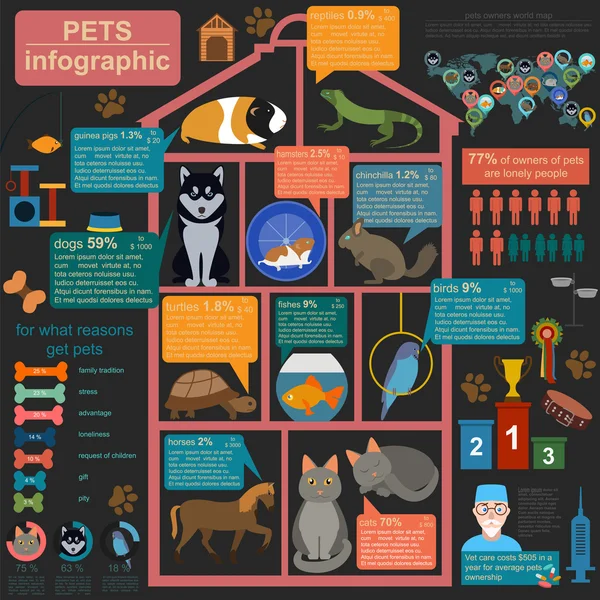 家养宠物的信息图表元素，helthcare，审核 — 图库矢量图片