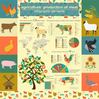 Tarım, Hayvancılık infographics, vektör çizimler