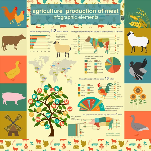 Agriculture, infographie de l'élevage, illustrations vectorielles — Image vectorielle