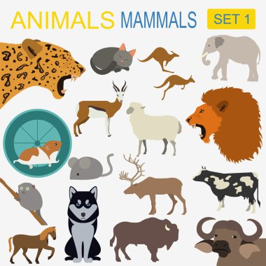 Hayvanlar memeli Icon set. Vektör düz stil