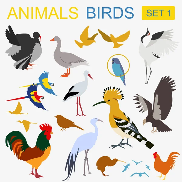 Conjunto de iconos de aves. Estilo plano vectorial — Vector de stock