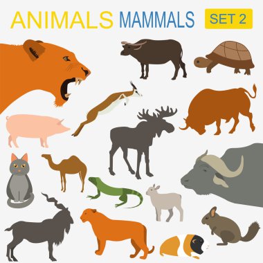 Hayvanlar memeli Icon set. Vektör düz stil