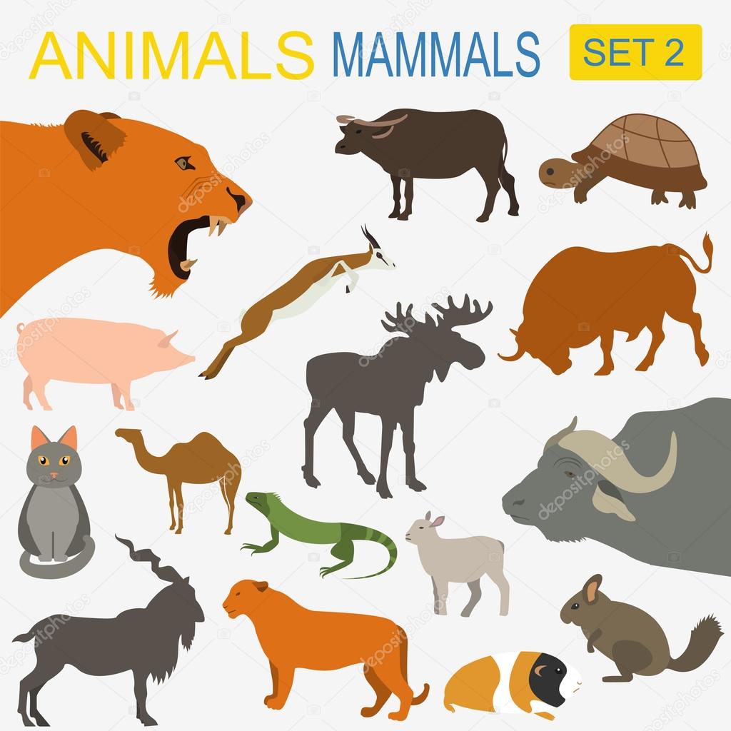 Animals mammals icon set. Vector flat style