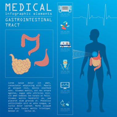 Tıbbi ve sağlık Infographic, gastrointestinal sistem infog