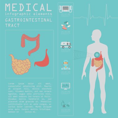 Tıbbi ve sağlık Infographic, gastrointestinal sistem infog