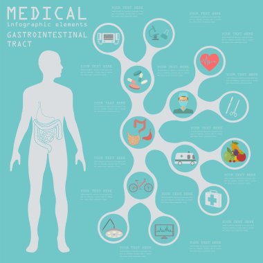Medical and healthcare infographic, gastrointestinal tract infog clipart