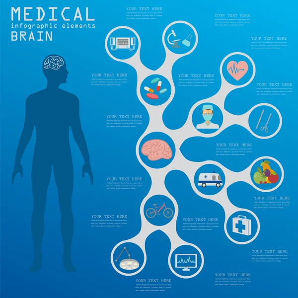 Инфографика медицины и здравоохранения, Инфографика мозга — стоковый вектор