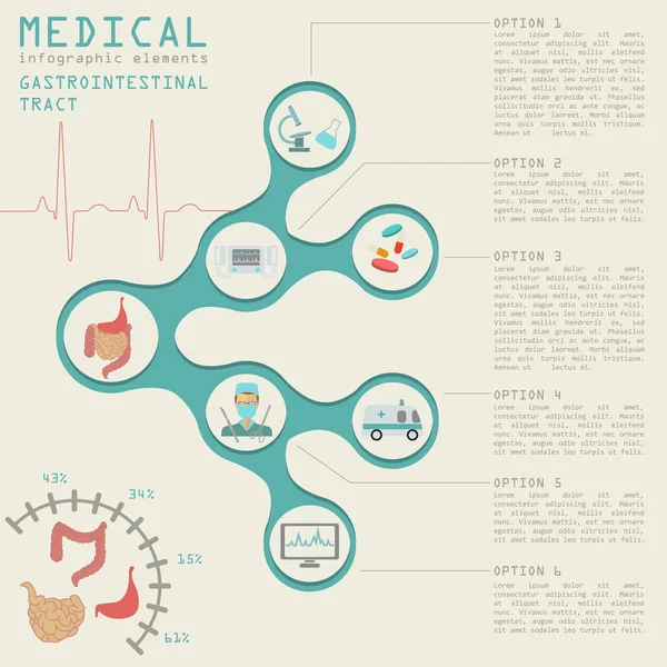 Infografik für Medizin und Gesundheitswesen, Gastrointestinaltrakt-Infografik — Stockvektor