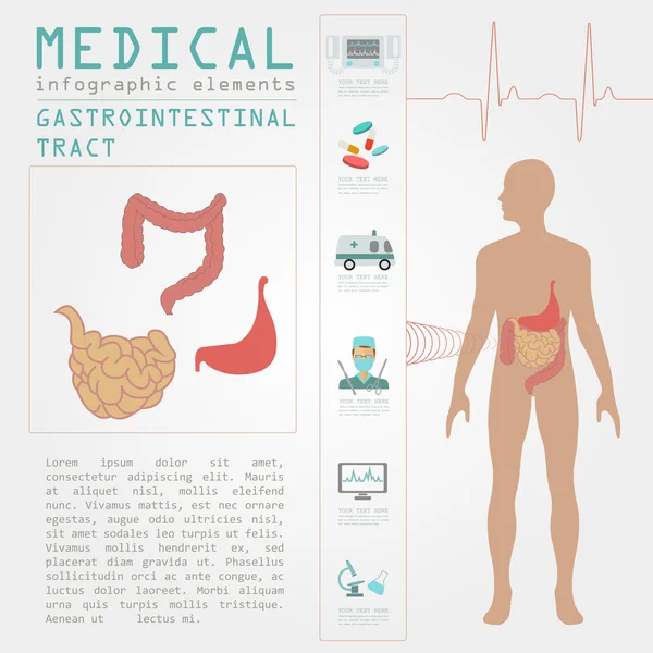 Infografica medica e sanitaria, infog del tratto gastrointestinale — Vettoriale Stock