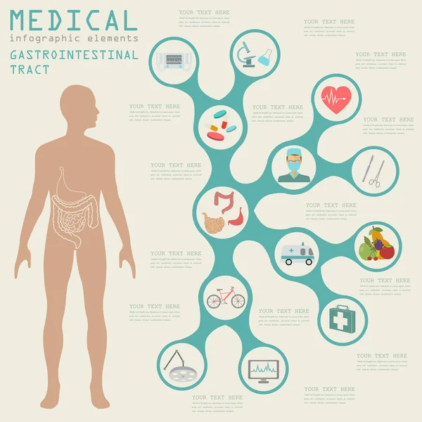 Infografica medica e sanitaria, infog del tratto gastrointestinale — Vettoriale Stock