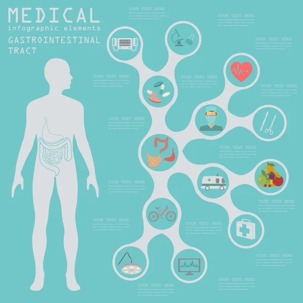 Infografía médica y sanitaria, infografía del tracto gastrointestinal — Vector de stock