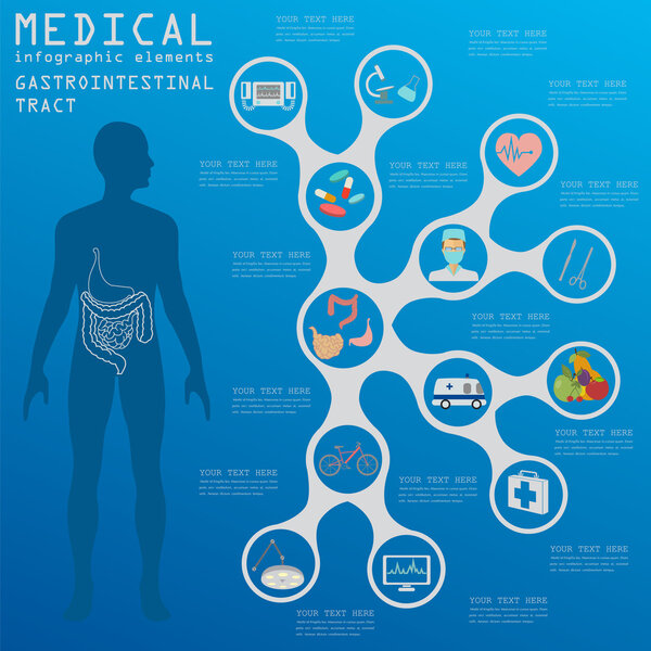 Medical and healthcare infographic, gastrointestinal tract infog
