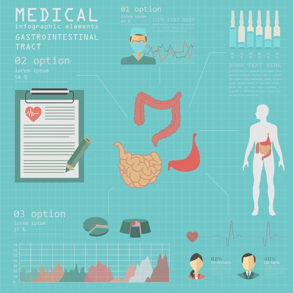 Infografía médica y sanitaria, infografía del tracto gastrointestinal — Vector de stock