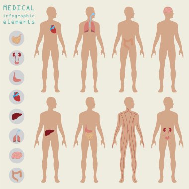 Tıbbi ve sağlık Infographic, infogr oluşturmak için öğeleri