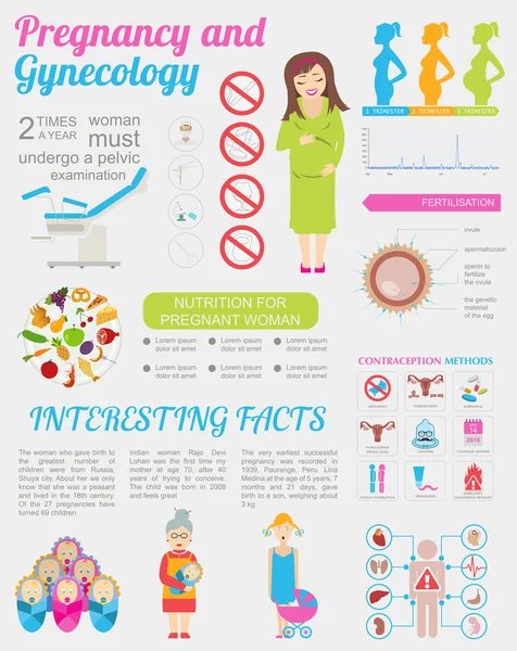 Modèle infographique gynécologie et grossesse. Éléments de la maternité — Image vectorielle