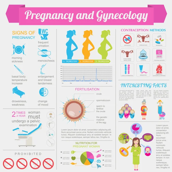 Gynäkologie und Schwangerschaft Infografik Vorlage. elemen der Mutterschaft — Stockvektor