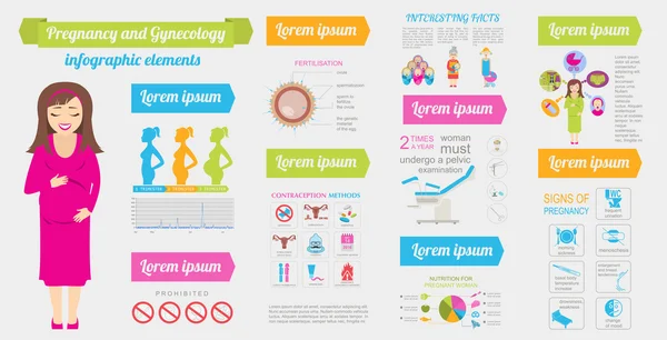 Gynäkologie und Schwangerschaft Infografik Vorlage. elemen der Mutterschaft — Stockvektor