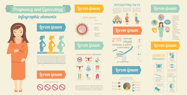 Plantilla de ginecología e infografía del embarazo. Maternidad elemen — Archivo Imágenes Vectoriales