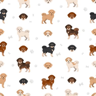 Shiba Poo (Poo Shi) klibi. Shiba Inu Kaniş karışımı. Farklı ceket renkleri. Vektör illüstrasyonu